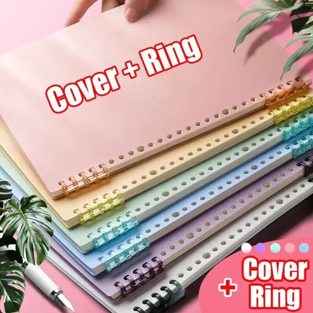 4 Stück PP Loseblatt-Bucheinba – Ring Binder Box Bewertung und Preis